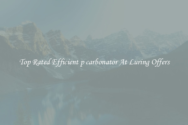 Top Rated Efficient p carbonator At Luring Offers