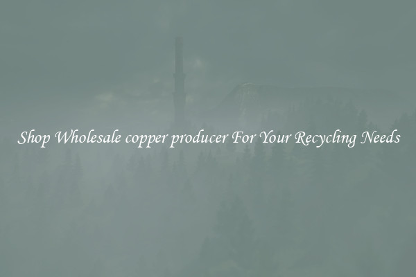 Shop Wholesale copper producer For Your Recycling Needs