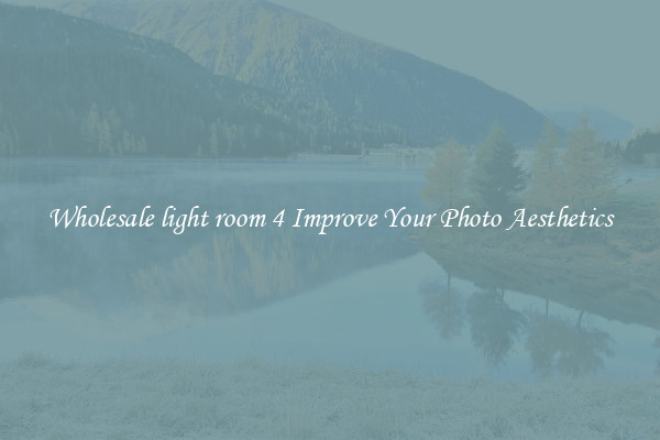 Wholesale light room 4 Improve Your Photo Aesthetics
