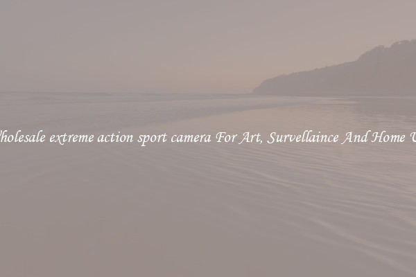 Wholesale extreme action sport camera For Art, Survellaince And Home Use