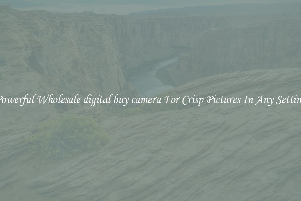 Powerful Wholesale digital buy camera For Crisp Pictures In Any Setting