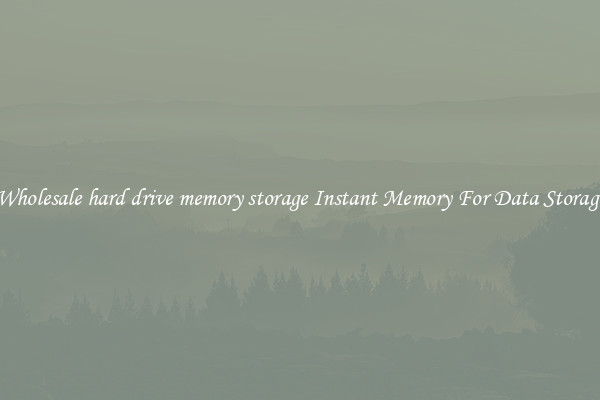 Wholesale hard drive memory storage Instant Memory For Data Storage