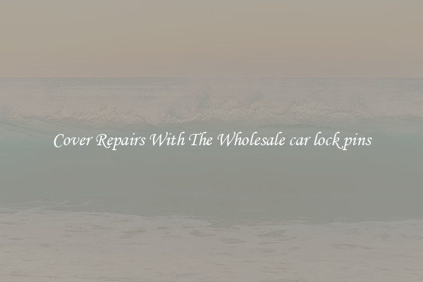  Cover Repairs With The Wholesale car lock pins 