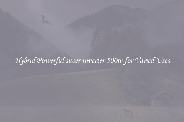 Hybrid Powerful suoer inverter 500w for Varied Uses