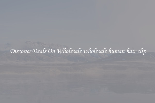 Discover Deals On Wholesale wholesale human hair clip