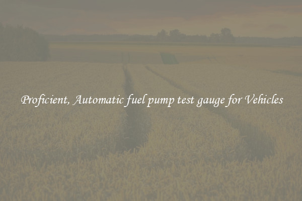 Proficient, Automatic fuel pump test gauge for Vehicles