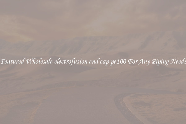 Featured Wholesale electrofusion end cap pe100 For Any Piping Needs