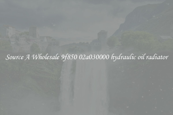 Source A Wholesale 9f850 02a030000 hydraulic oil radiator