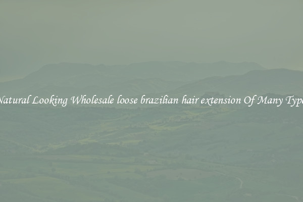 Natural Looking Wholesale loose brazilian hair extension Of Many Types