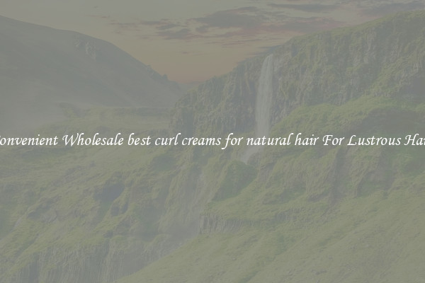 Convenient Wholesale best curl creams for natural hair For Lustrous Hair.