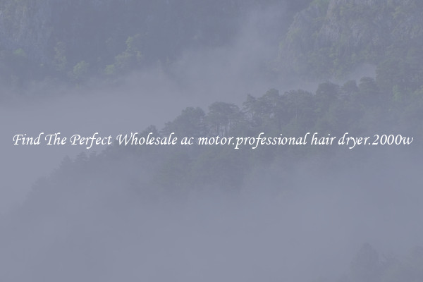 Find The Perfect Wholesale ac motor.professional hair dryer.2000w
