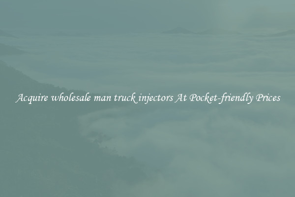 Acquire wholesale man truck injectors At Pocket-friendly Prices