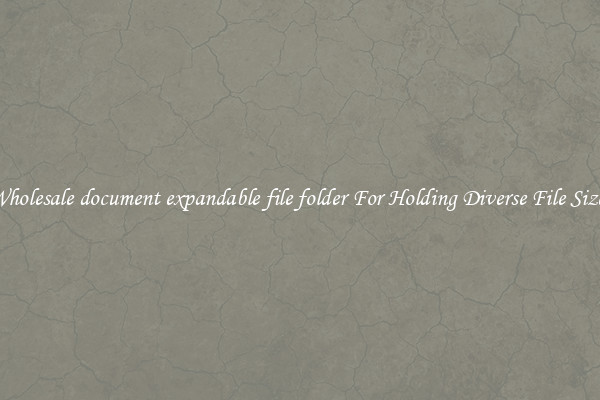 Wholesale document expandable file folder For Holding Diverse File Sizes