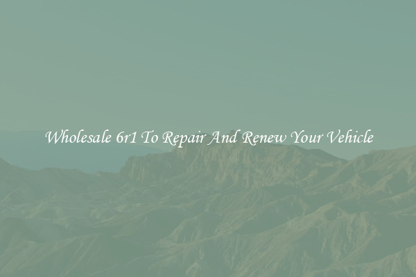 Wholesale 6r1 To Repair And Renew Your Vehicle