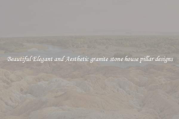 Beautiful Elegant and Aesthetic granite stone house pillar designs