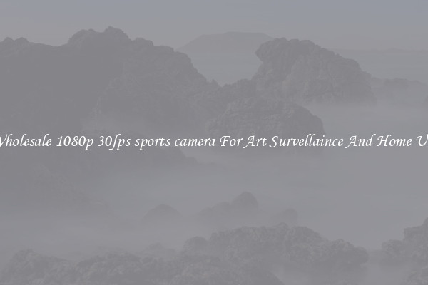 Wholesale 1080p 30fps sports camera For Art Survellaince And Home Use