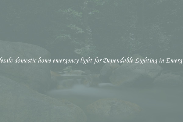 Wholesale domestic home emergency light for Dependable Lighting in Emergencies