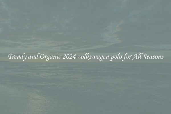 Trendy and Organic 2024 volkswagen polo for All Seasons