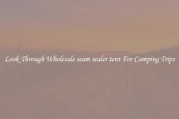Look Through Wholesale seam sealer tent For Camping Trips