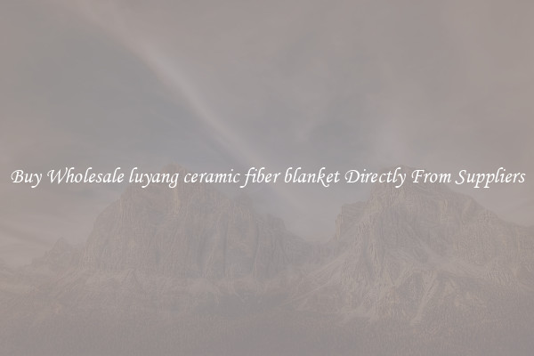 Buy Wholesale luyang ceramic fiber blanket Directly From Suppliers