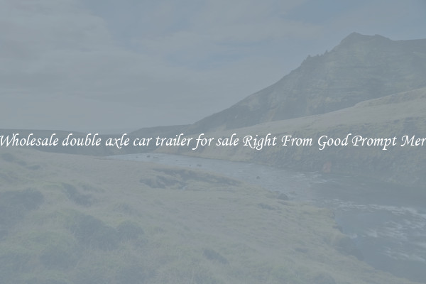 Grab Wholesale double axle car trailer for sale Right From Good Prompt Merchants